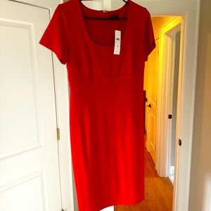 Ann Taylor dress …NWT.